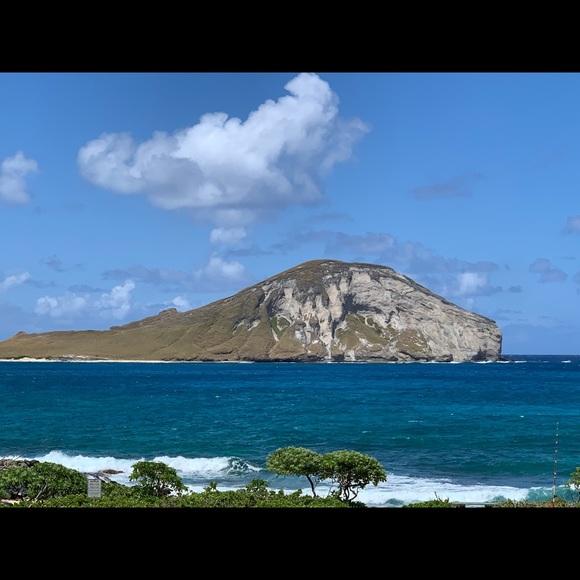 Meet your Posher, Shayla - Picture 5 of 16